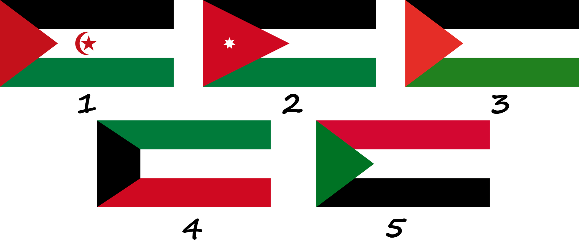 À quels drapeaux le drapeau des Émirats arabes unis ressemble-t-il ?